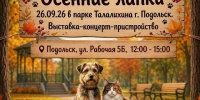 Выставка-пристройство бездомных животных «Осенние лапки» пройдет в Подольске - Администрация г. Подольск