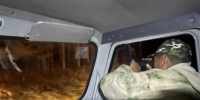 В Тункинском нацпарке в Бурятии будут отстреливать опасных медведей - Газета Номер один