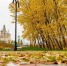 Картинка - Regions.Ru