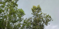 Картинка - Regions.Ru