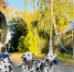 Картинка - Regions.Ru