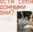 В Кызыле стартовал проект «Уроки доброты» - Администрация г. Кызыл