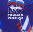 Более 36% избирателей региона отдали свои голоса за «Единую Россию» - Единая Россия