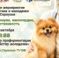 Школьников Серпухова приглашают на профориентационное мероприятие - ОТВ-Серпухов