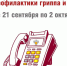 Роспотребнадзор открыл горячую линию по гриппу и ОРВИ - Петербургский формат