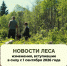 Изменения в Лесном законодательстве - Администрация Наро-Фоминского г.о.