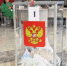 Предварительные итоги голосования в Рубцовске - Rubtsovsk.Info