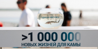 Два проекта НКНХ вошли в шорт лист международной премии PROBA Awards - Реальное время