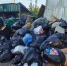 На уборку контейнерных площадок Брянска выделили 3,9 млн рублей - Комсомольская Правда