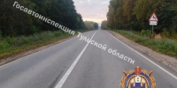 Ночная авария на трассе М-2: пострадали лось и пассажирка - ИА Тульская пресса.Ru