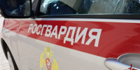 Росгвардейцы отработали больше 140 выездов на охраняемые объекты - Росгвардия