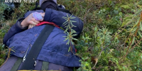 В лесу под Пермью спасли грибника после укуса гадюки за палец руки - Комсомольская Правда