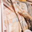 Международная выставка «ИНТЕРТКАНЬ-2026. Осень» пройдет в Москве - Мой бизнес