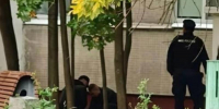 В Зеленограде найдено тело 15‑летнего подростка: обстоятельства выясняются - Chehov-Vid.Ru