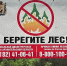 В минлеспроме региона подвели итоги наземного патрулирования лесов в пожароопасный сезон - Сетевое издание Маяк