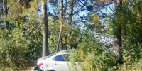 В Медведевском районе иномарка врезалась в дерево - Газета Ваш Новый День