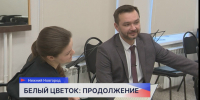 Акция «Белый цветок» переворачивает «страницу» и будет жить дальше - Время Н