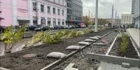 На проспекте Ленина в Мурманске высаживают сирень и многолетники - SeverPost.ru