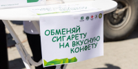 Сохранение здоровья легких требует комплексного подхода - Администрация г. Екатеринбург