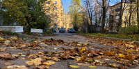 Летняя погода в Свердловской области задержится - УралПолит.Ru