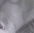 Остросюжетное спасение: в Петербурге вызволили застрявшую в кабельной шахте трехцветную кошку - Metro Петербург