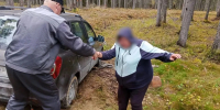Спасатели помогли заблудившимся в лесу супругам - ГТРК Карелия