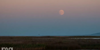Коса Чушка © Фото Елены Синеок, Юга.ру - Yuga.Ru