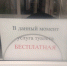 Немцы обсуждают бесплатный туалет на автовокзале Калининграда - ИА Русский Запад