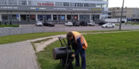 С улиц города вывезли более 20 кубометров мусора за неделю - Администрация города