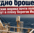 Судно брошено: донские моряки почти полгода живут в плену берегов Индии - Bloknot-Rostov.Ru