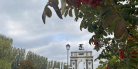 В Курске в парке «Патриот» вскоре начнут высадку тюльпанов - Курские Известия