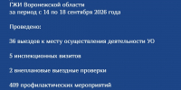 О результатах контрольной (надзорной) деятельности ГЖИ Воронежской области за период с 14 по 18 сентября 2026 года - Государственная жилищная инспекция