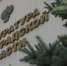 Конфликт старшеклассников в Волгограде: ситуацию взяла на контроль прокуратура - ИА Волга-Каспий