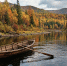 Создано ИИ - Syktyvkar.1istochnik.Ru