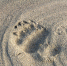 Фото: Федор Воронов/«Ямал-Медиа» - Ямал-Медиа