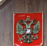 В Правдинске суд арестовал женщину за хулиганство на избирательном участке - NewKaliningrad.Ru
