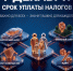 1 декабря - срок уплаты налогов - Мензелинский район