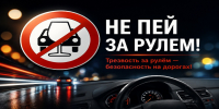 Профилактический рейд «Нетрезвый водитель»: предупреждение ДТП и сохранение жизни - Администрация г.о. Кашира