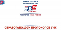 В Волгограде «Единая Россия» стала лидером на выборах депутатов Государственной Думы девятого созыва - Единая Россия