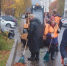 Сметали тоннами: в Мурманске подвели итоги масштабной уборки города - Вечерний Мурманск