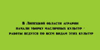 Аграрии Липецкой области приступили к уборке всех масличных культур - Народное слово
