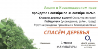 Осенью 2026 года в Краснодарском крае вновь стартует Всероссийский Эко-марафон ПЕРЕРАБОТКА «Сдай макулатуру - спаси дерево» - Администрация Ейского района