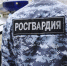 Нижегородские росгвардейцы за прошедшую неделю выезжали более 500 раз по сигналу «тревога» - Росгвардия
