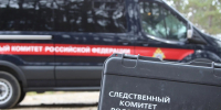 В Воронеже двое подростков подозреваются в грабеже - Следственный комитет