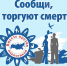 В Курске началась акция против наркотиков «Сообщи, где торгуют смертью!» - Городские Известия