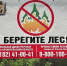 В минлеспроме региона подвели итоги наземного патрулирования лесов в пожароопасный сезон - Сетевое издание Север