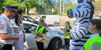 Дорога – не место для беспечности - Пятигорская правда