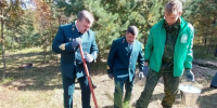 В Андреево высадили аллею сосен в честь бойца Алексея Курганова - Комсомольская правда