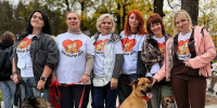 В парке «Дубрава» прошла вторая выставка проекта «Моё собачье дело» - ТК Кварц
