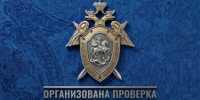 В Благовещенске организована процессуальная проверка по сообщению об избиении молодого человека - Следственный комитет